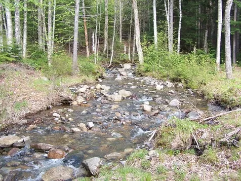 000 Slide Brook Road Easton NH 03580