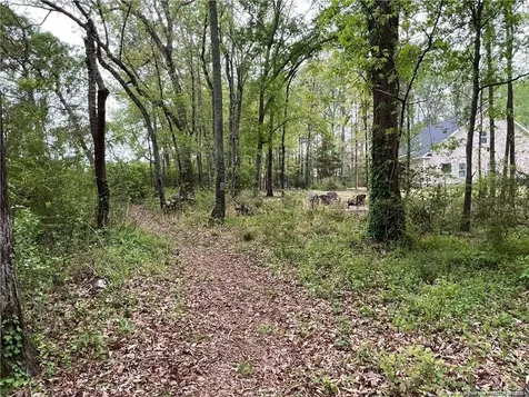 8321 Whitewood Court Linden NC 28356