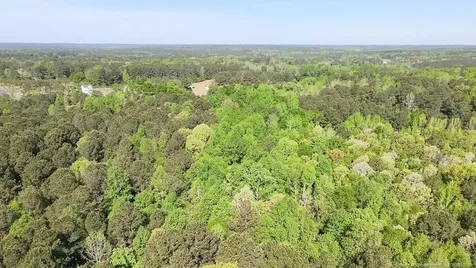 Tbd (9 Acres) Nc 27 W Lillington NC 27546