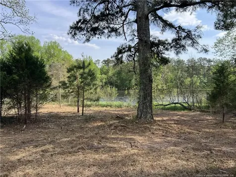 Tbd (9 Acres) Nc 27 W Lillington NC 27546