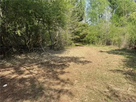 Tbd (9 Acres) Nc 27 W Lillington NC 27546