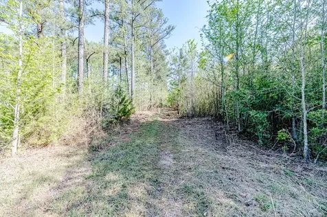 Tbd (9 Acres) Nc 27 W Lillington NC 27546