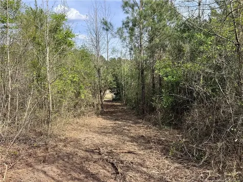 Tbd (9 Acres) Nc 27 W Lillington NC 27546