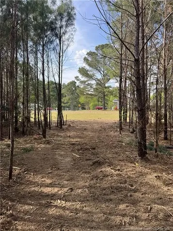 Tbd (9 Acres) Nc 27 W Lillington NC 27546