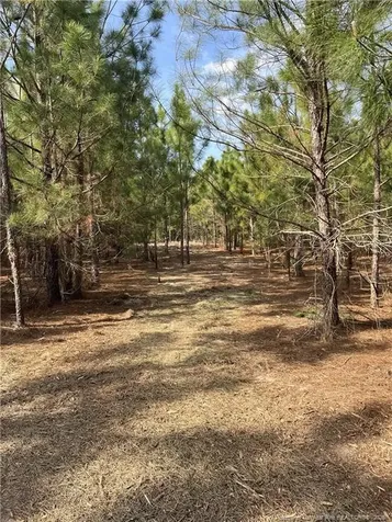 Tbd (9 Acres) Nc 27 W Lillington NC 27546