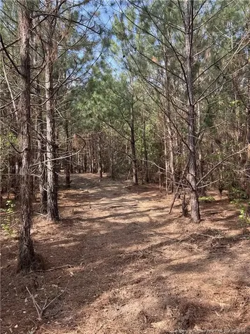 Tbd (9 Acres) Nc 27 W Lillington NC 27546