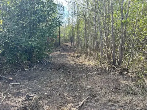 Tbd (9 Acres) Nc 27 W Lillington NC 27546