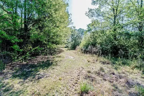 Tbd (9 Acres) Nc 27 W Lillington NC 27546
