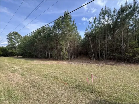 Tbd (9 Acres) Nc 27 W Lillington NC 27546