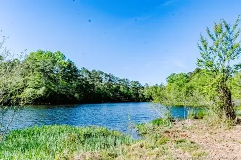 Tbd (9 Acres) Nc 27 W Lillington NC 27546