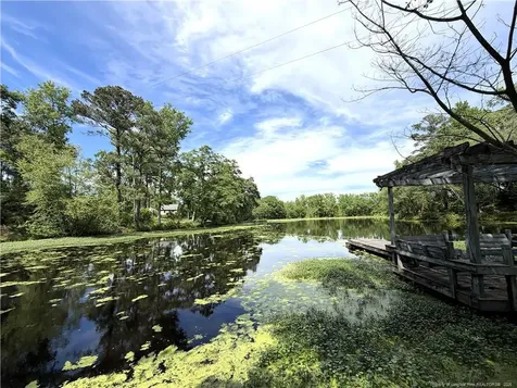 132 & 14 Strickland Cabin Lane Salemburg NC 28385