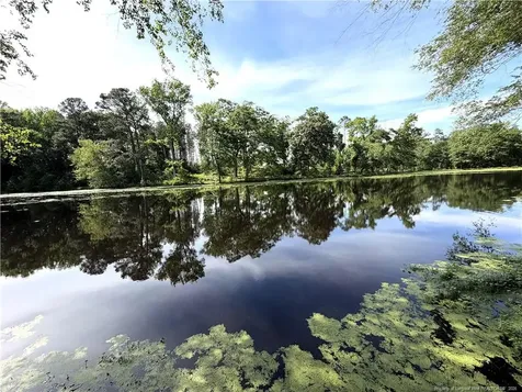 132 & 14 Strickland Cabin Lane Salemburg NC 28385