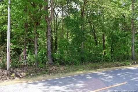 Tbd N Duffie Road Red Springs NC 28377