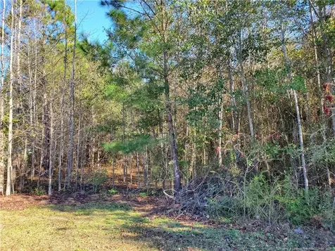 220 & 217 Kendall Court Raeford NC 28376