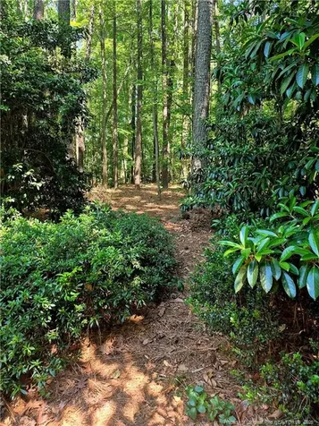 2808 Elsbeth Court Wake Forest NC 27587