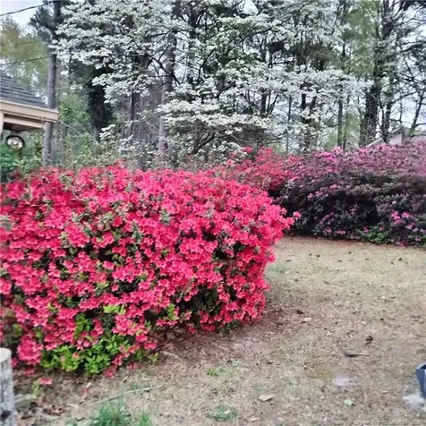 434 Derose Drive Fayetteville NC 28311