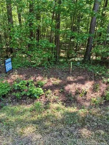 Near 294 Airport Road Bladenboro NC 28320