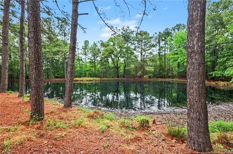 1004 Wentworth Court Sanford NC 27330