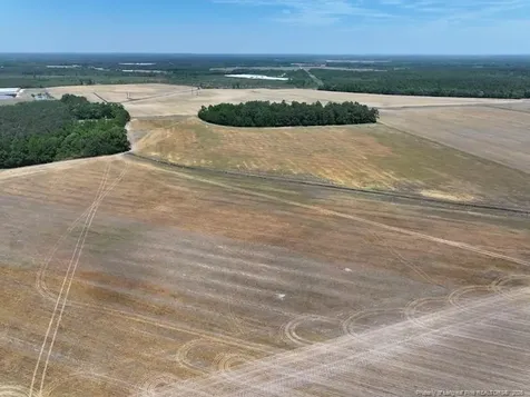 Tbd N Duffie Road Red Springs NC 28377