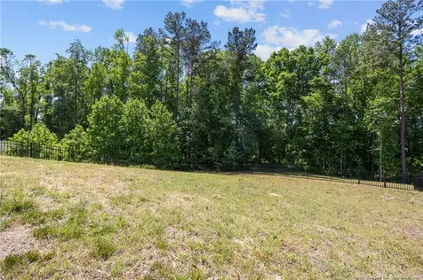 122 Chedworth Drive Angier NC 27501