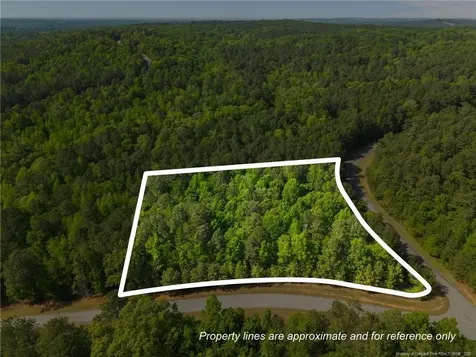 125 Lennox Loop Rockingham NC 28379