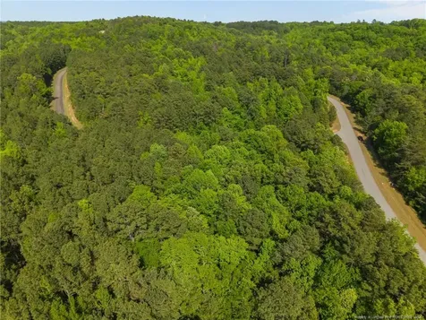 125 Lennox Loop Rockingham NC 28379