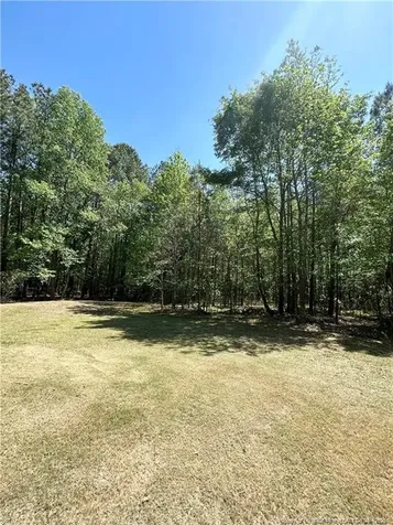 110 Kinton Drive Willow Springs NC 27592