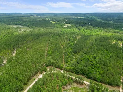 Nighthawk Loop Aberdeen NC 28315
