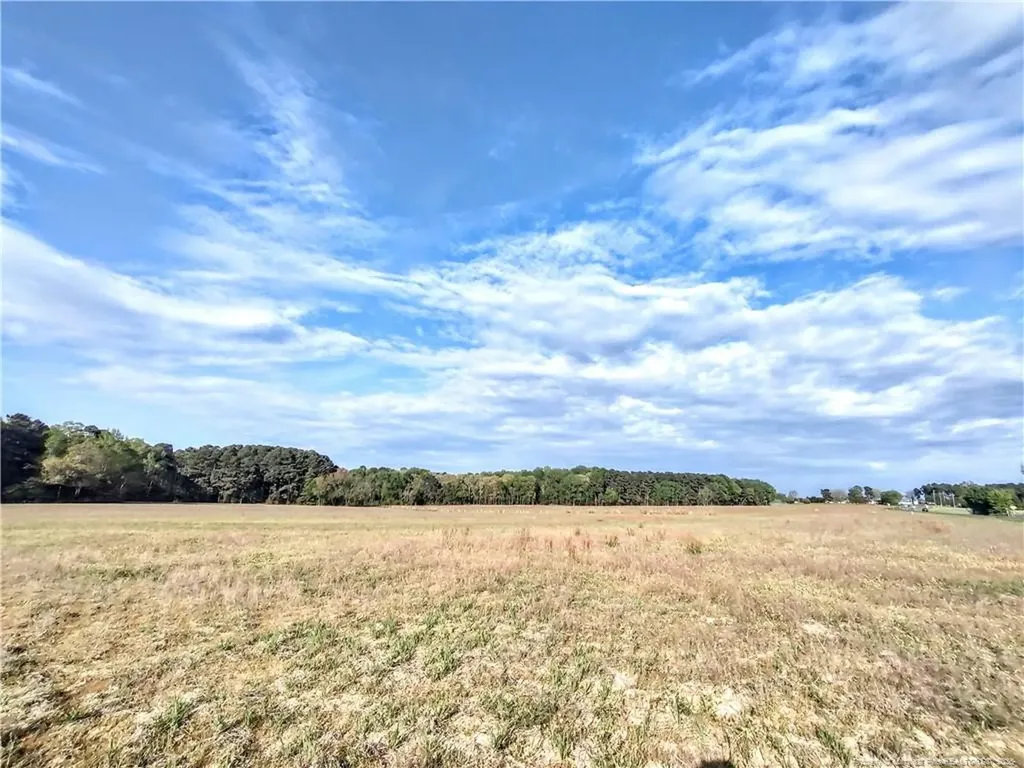 0 Tramway Road / Highway 78 Sanford NC 27330