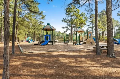 118 Otter Drive West End NC 27326