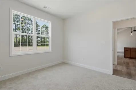 3031 Dinwiddle Drive Wade NC 28395