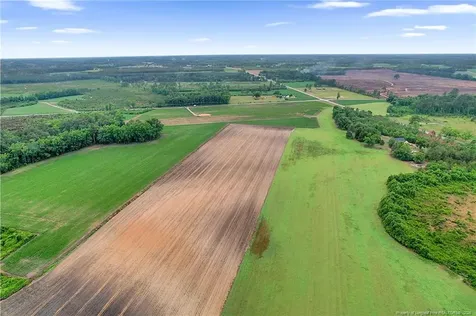 Lot 9 Buie Philadelphus Road Red Springs NC 28377