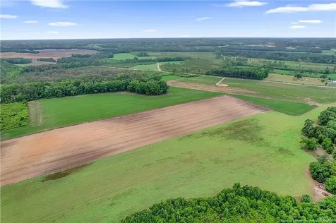Lot 8 Buie Philadelphus Road Red Springs NC 28377