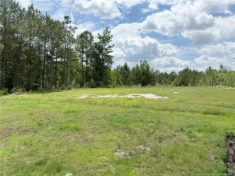 39 Princelet Point Cameron NC 28326
