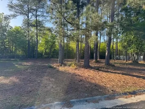 213 Waddell Drive Fayetteville NC 28301
