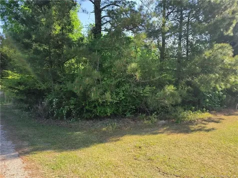 0 Leitha Lane Godwin NC 28344