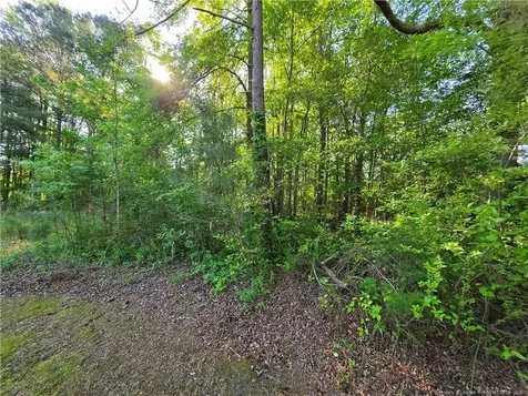 0 Leitha Lane Godwin NC 28344