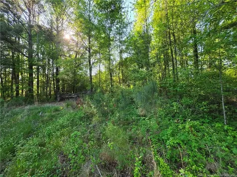 0 Leitha Lane Godwin NC 28344