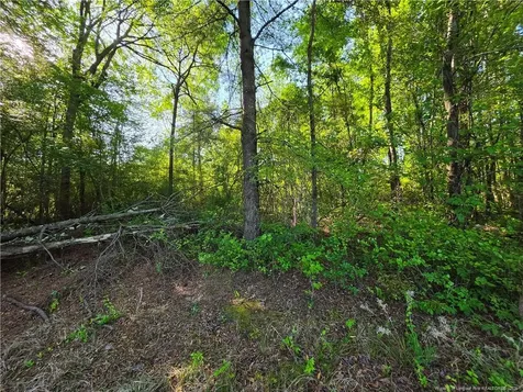 0 Leitha Lane Godwin NC 28344