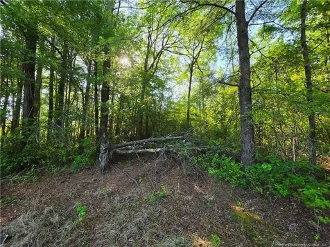 0 Leitha Lane Godwin NC 28344