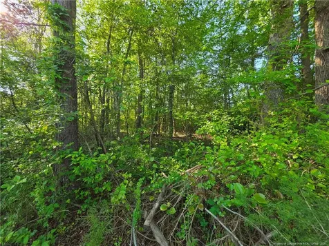 0 Leitha Lane Godwin NC 28344