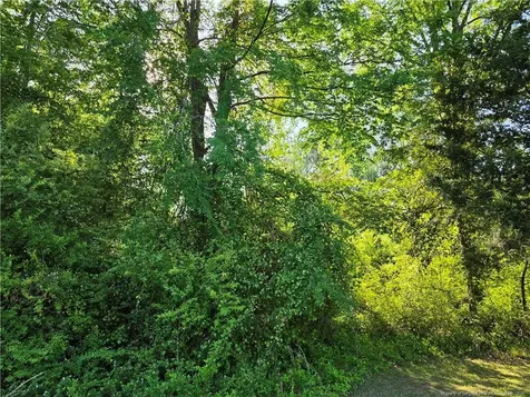 0 Leitha Lane Godwin NC 28344