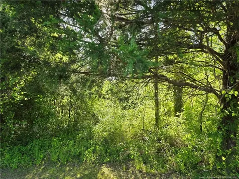 0 Leitha Lane Godwin NC 28344
