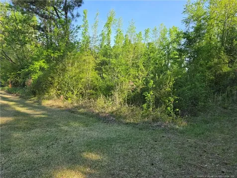 0 Leitha Lane Godwin NC 28344