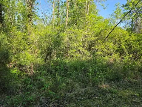 0 Leitha Lane Godwin NC 28344