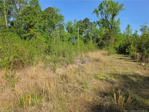 0 Leitha Lane Godwin NC 28344