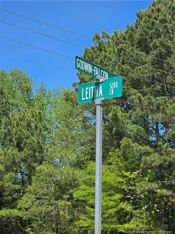 0 Leitha Lane Godwin NC 28344