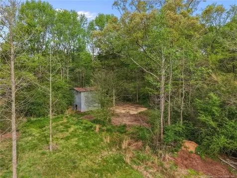 186 Lewis Brown Road Bennett NC 27208