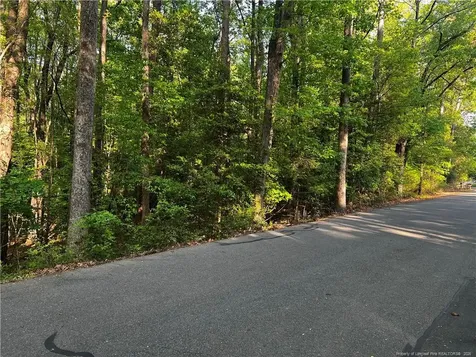 1009 Windrace Trail Sanford NC 27332
