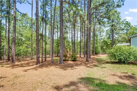 387 Forest Drive Cameron NC 28326